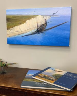 COASTAL PATROL – Limited Art Giclée on Canvas by Richard Taylor